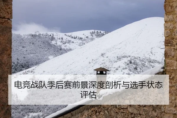 电竞战队季后赛前景深度剖析与选手状态评估